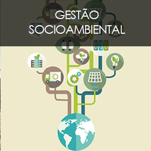 Consultoria Ambiental; Assessoria Ambiental; Engenharia Ambiental; Gestão Ambiental; Gestão Socioambiental; Ciclo de Vida